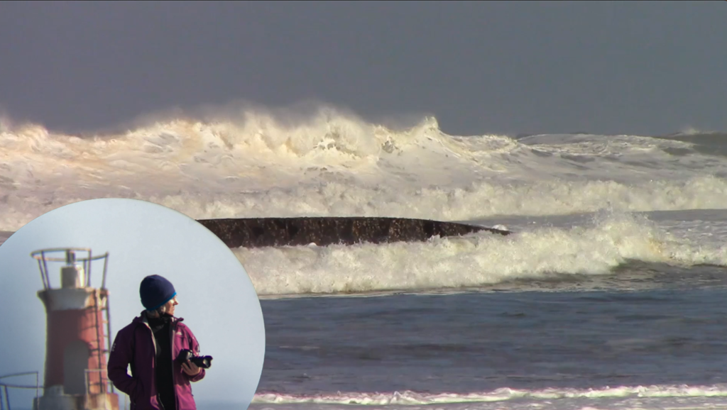 Carmen Revuelta analista de formaciones digitales